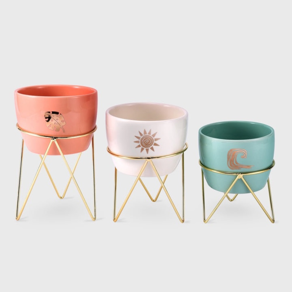 Disney princess X Sugarpop Moana planters